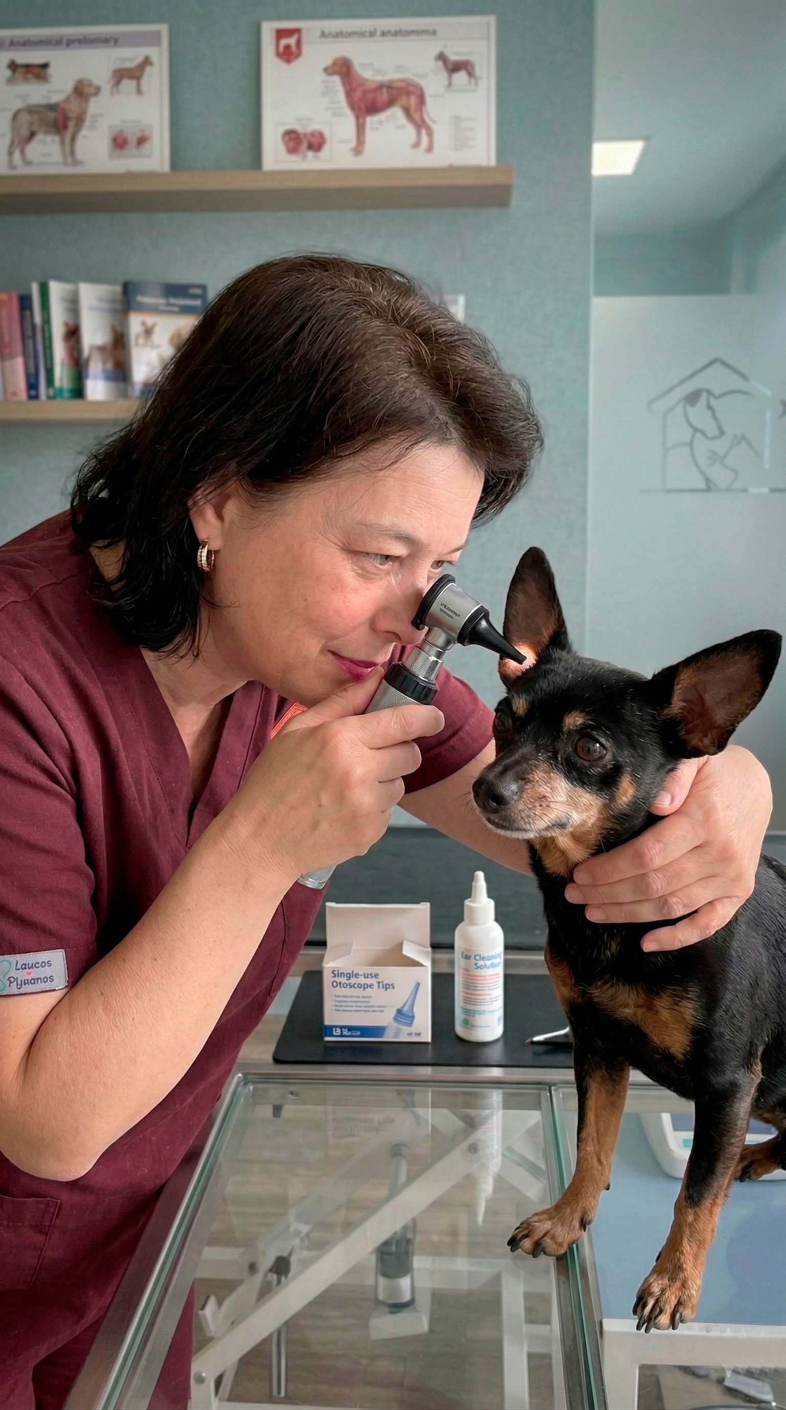 Dra. Geovanna Dal Piva realizando exame dermatológico em cão - Dermatologia Veterinária
